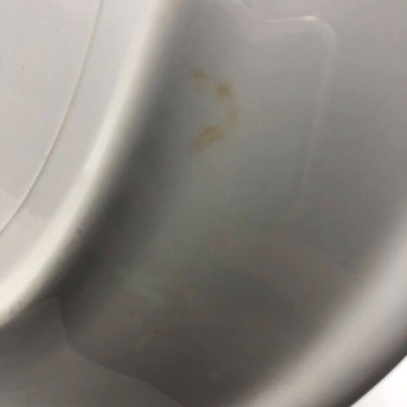 Mayer China Restaurant Style Thick Plates #456 Lot of 4 Painted Scalloped Rim - Picture 7 of 10